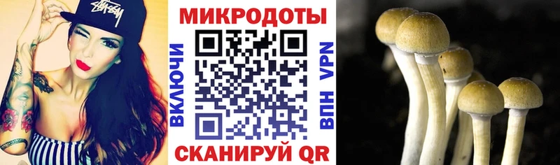 Псилоцибиновые грибы прущие грибы  Ленинградская 